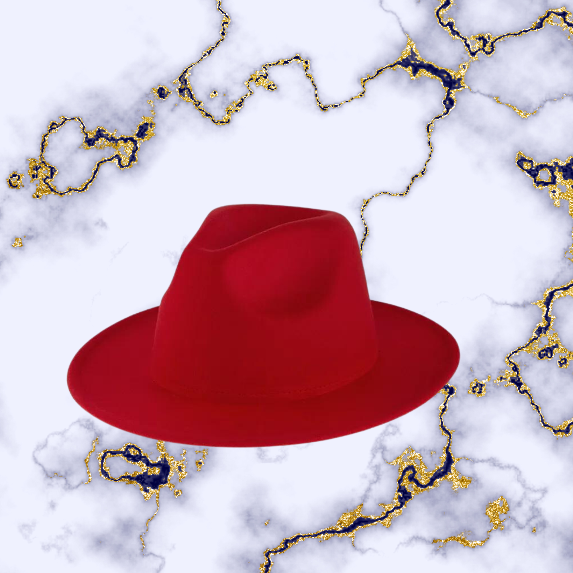 FEDORA HAT WITH ACCENT
